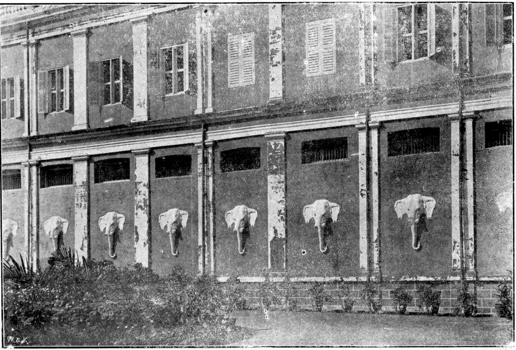 The Theosophical Society estate at Adyar, outside Madras in India, where Maria Montessori lived and worked from 1939 to 1946.
